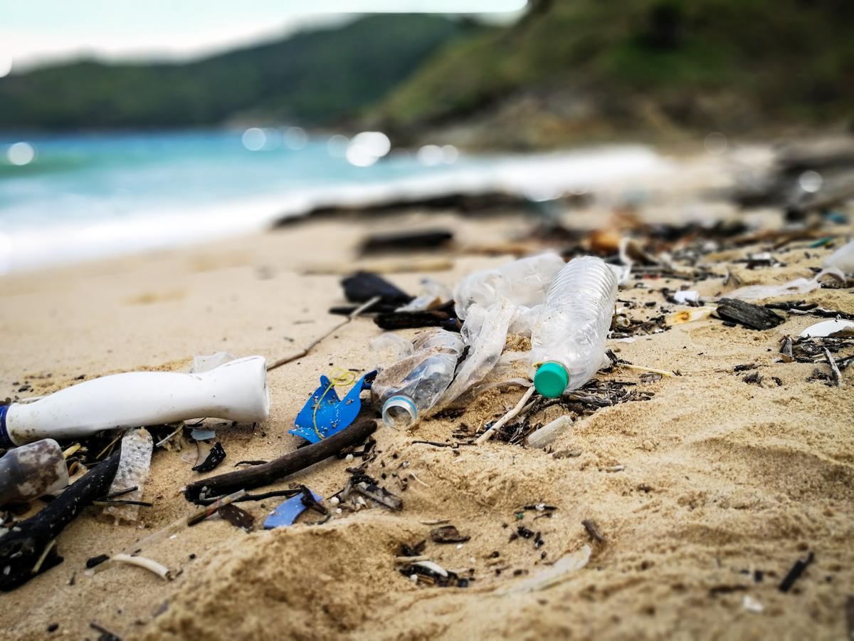Cleaning up beaches can boost local economies
