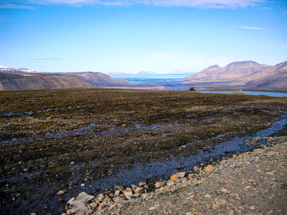Thawing permafrost causes ripples in northern lakes' health