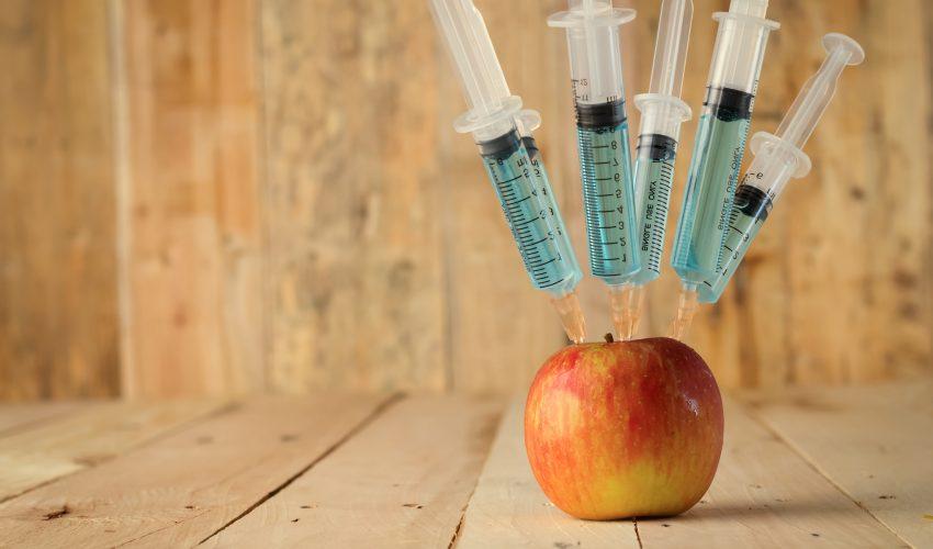 The real problem with GMO crops