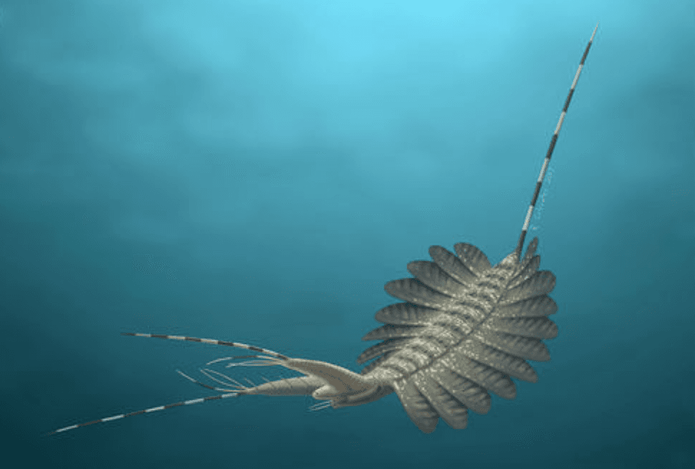 The surprising fossilized brains of ancient sea creatures