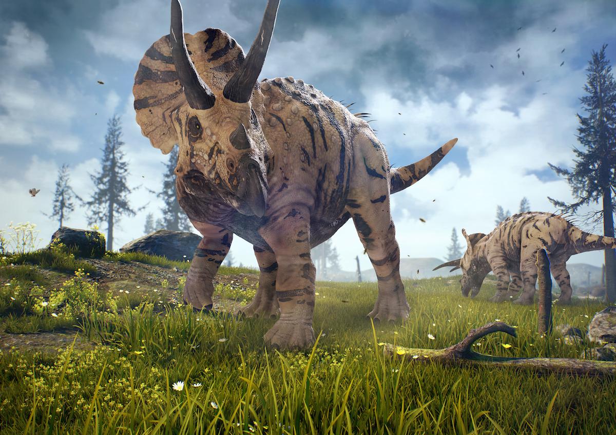 Triceratops used its horns to attract mates