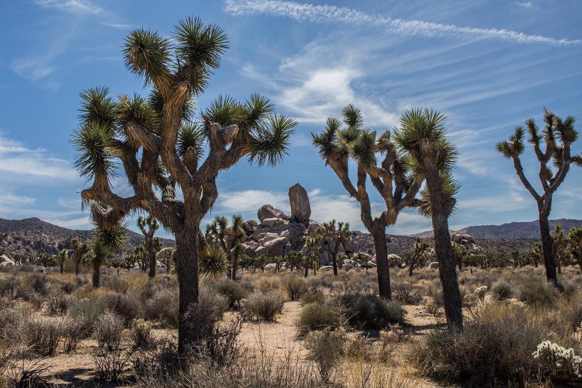 The end of the Great American Desert?