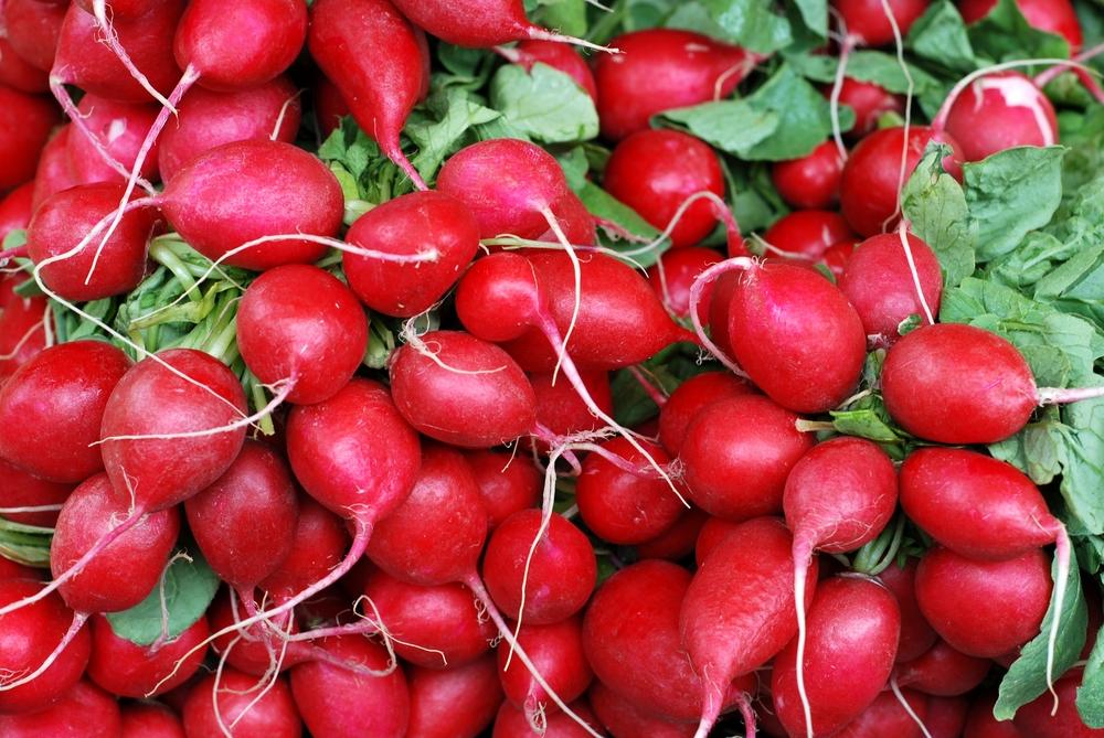 How an experiment to grow an entire salad could lead to space