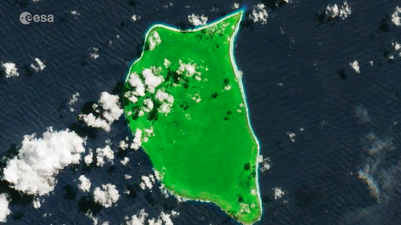 Henderson Island in the South Pacific