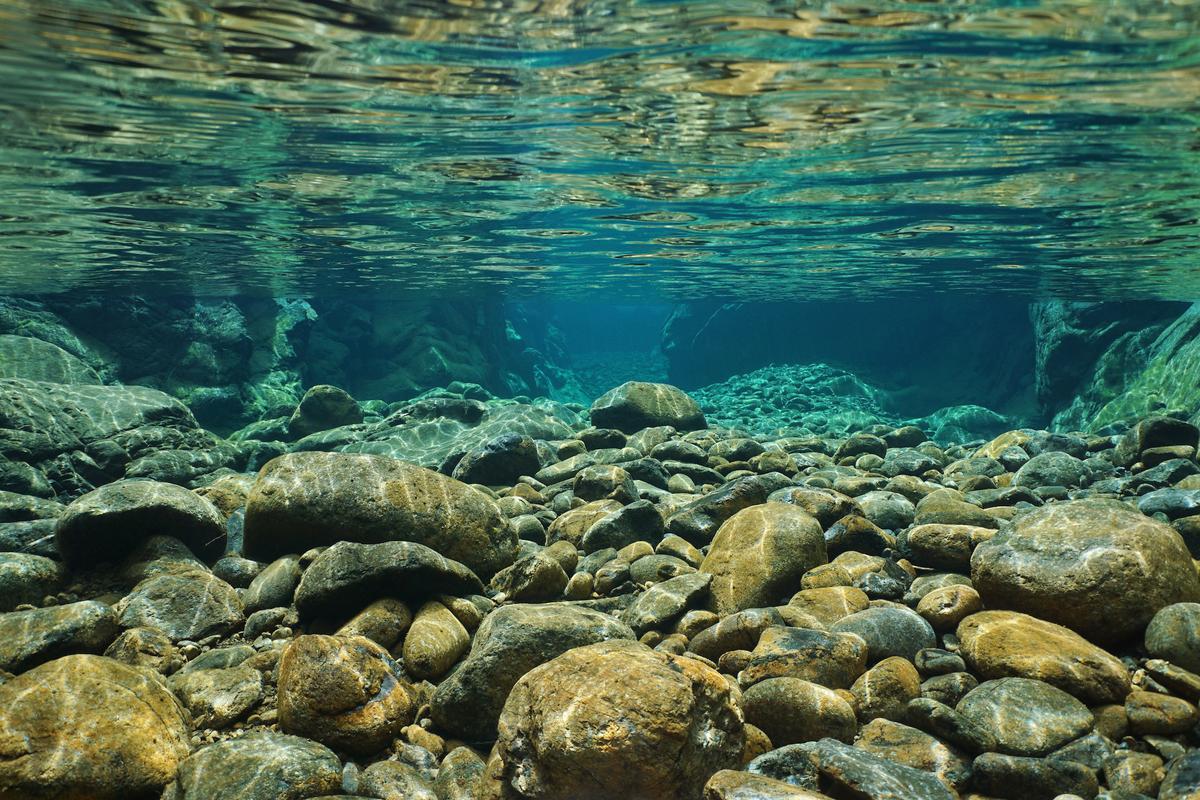 Freshwater ecosystems can filter out pollution