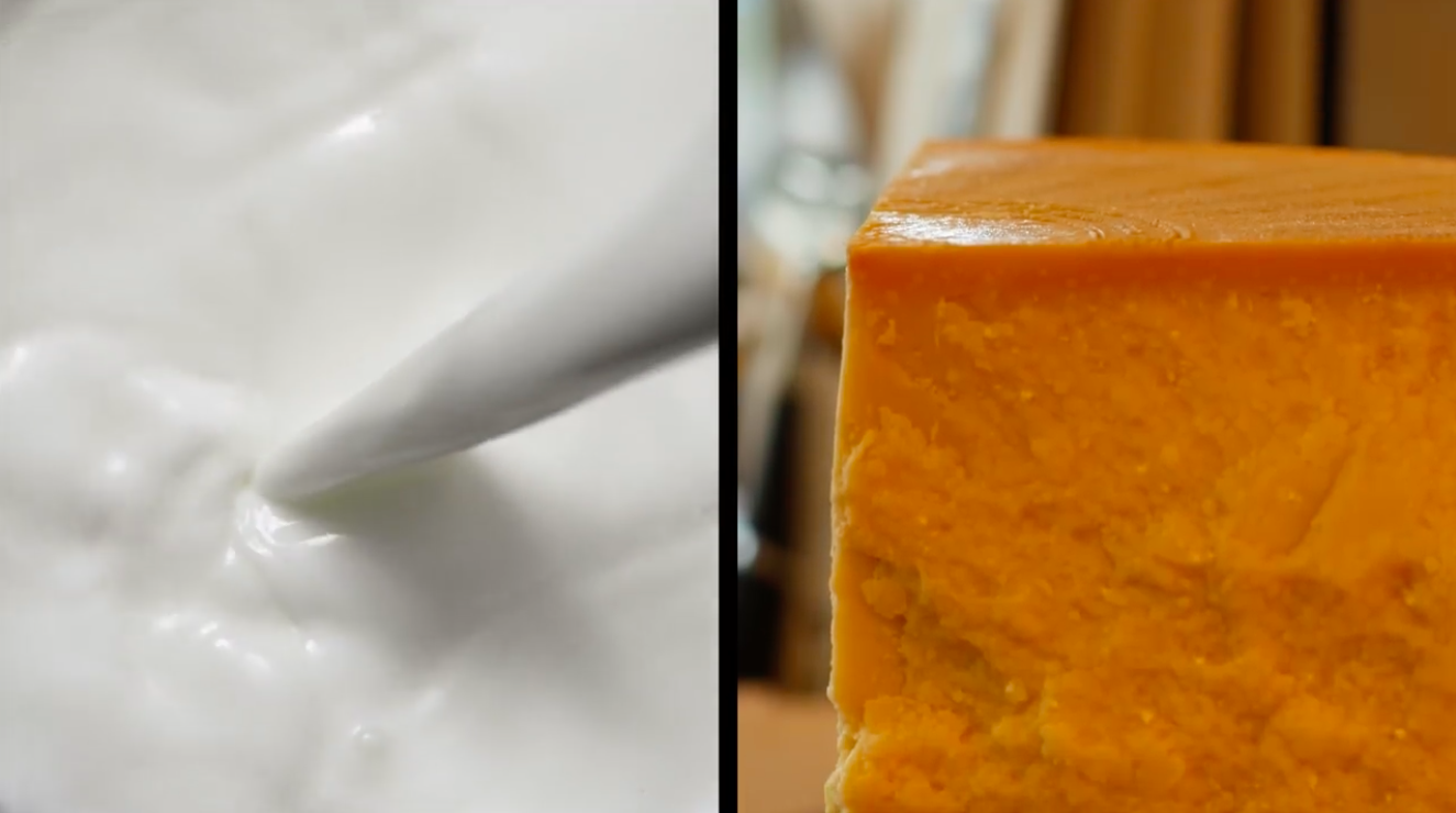 How milk turns into cheese