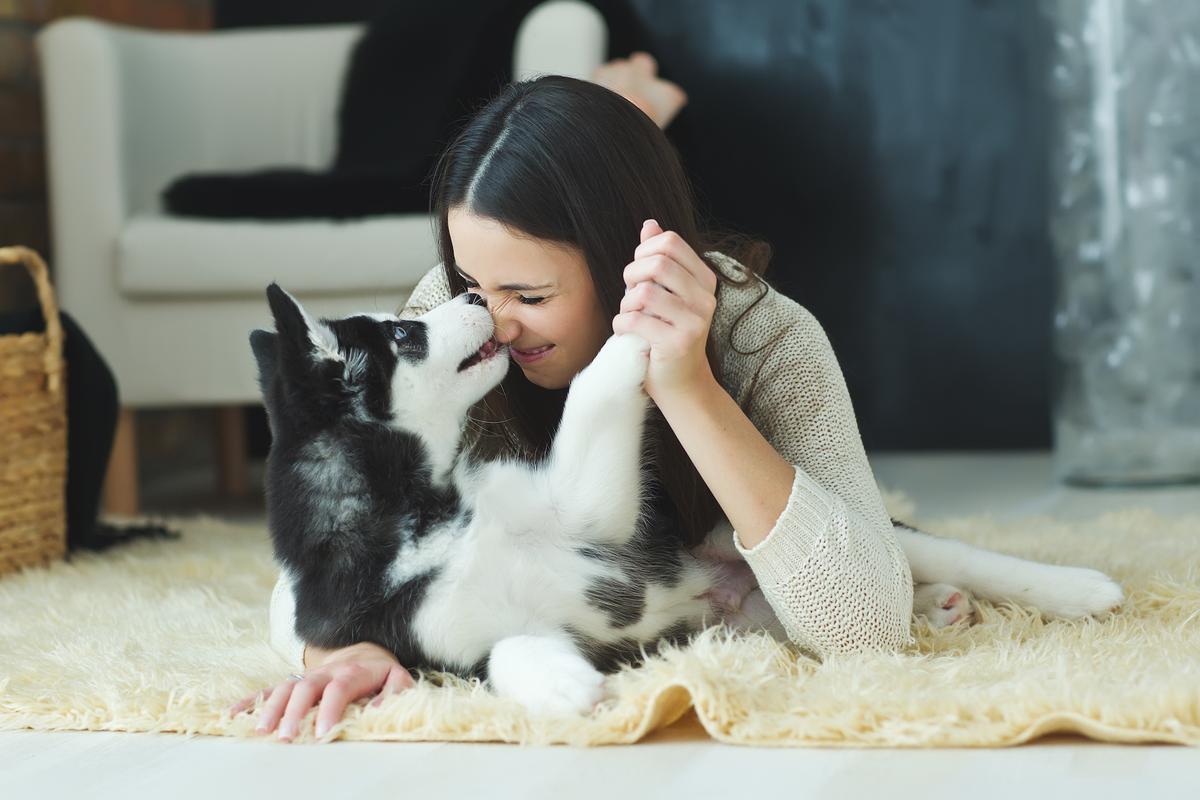 How your bond with your dog changes your brain
