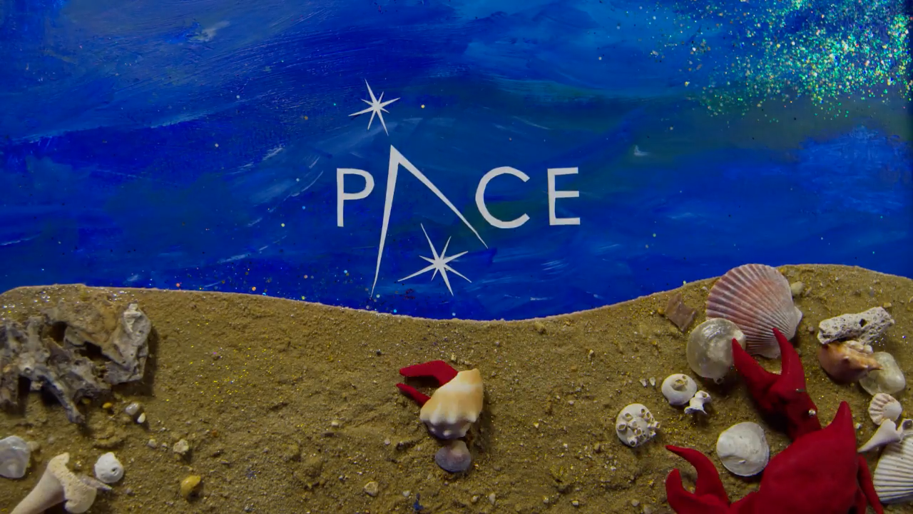 PACE mission will provide unprecedented insight into ocean life