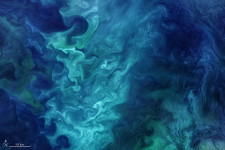 Phytoplankton bloom brightens up the Chukchi Sea