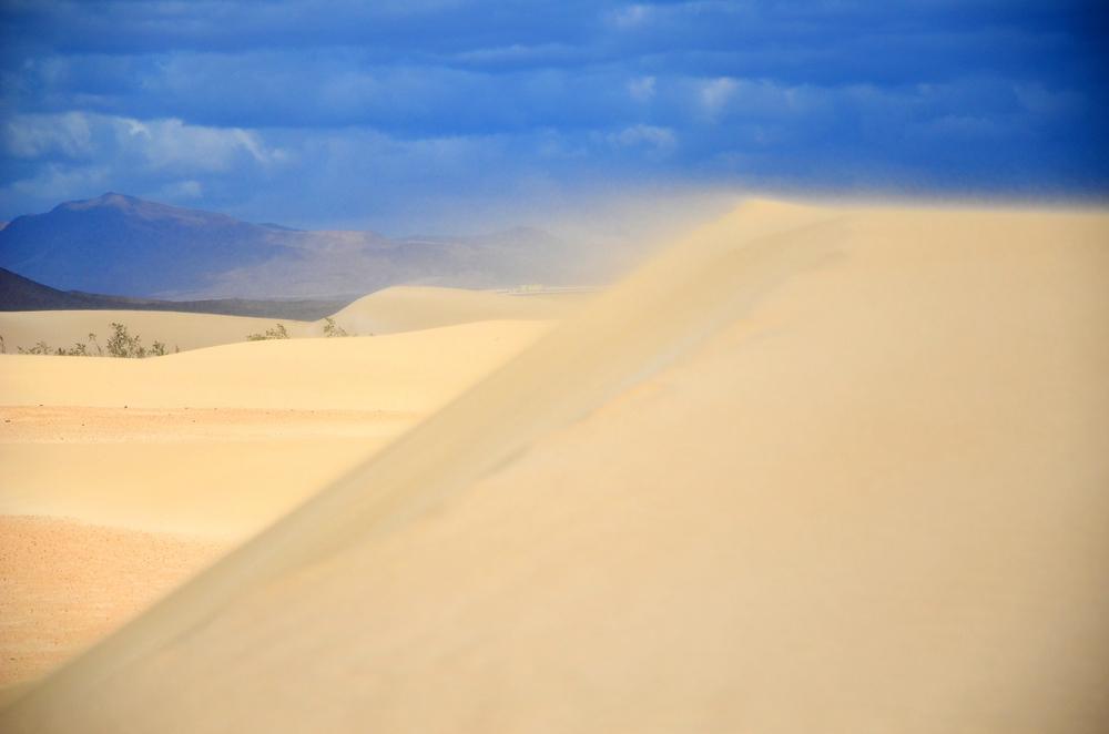 Sahara dust could weaken Gulf of Mexico hurricanes