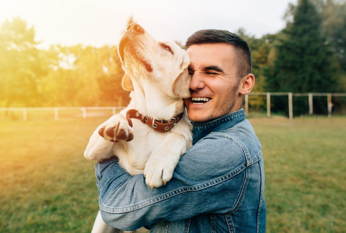How dogs and humans became so close