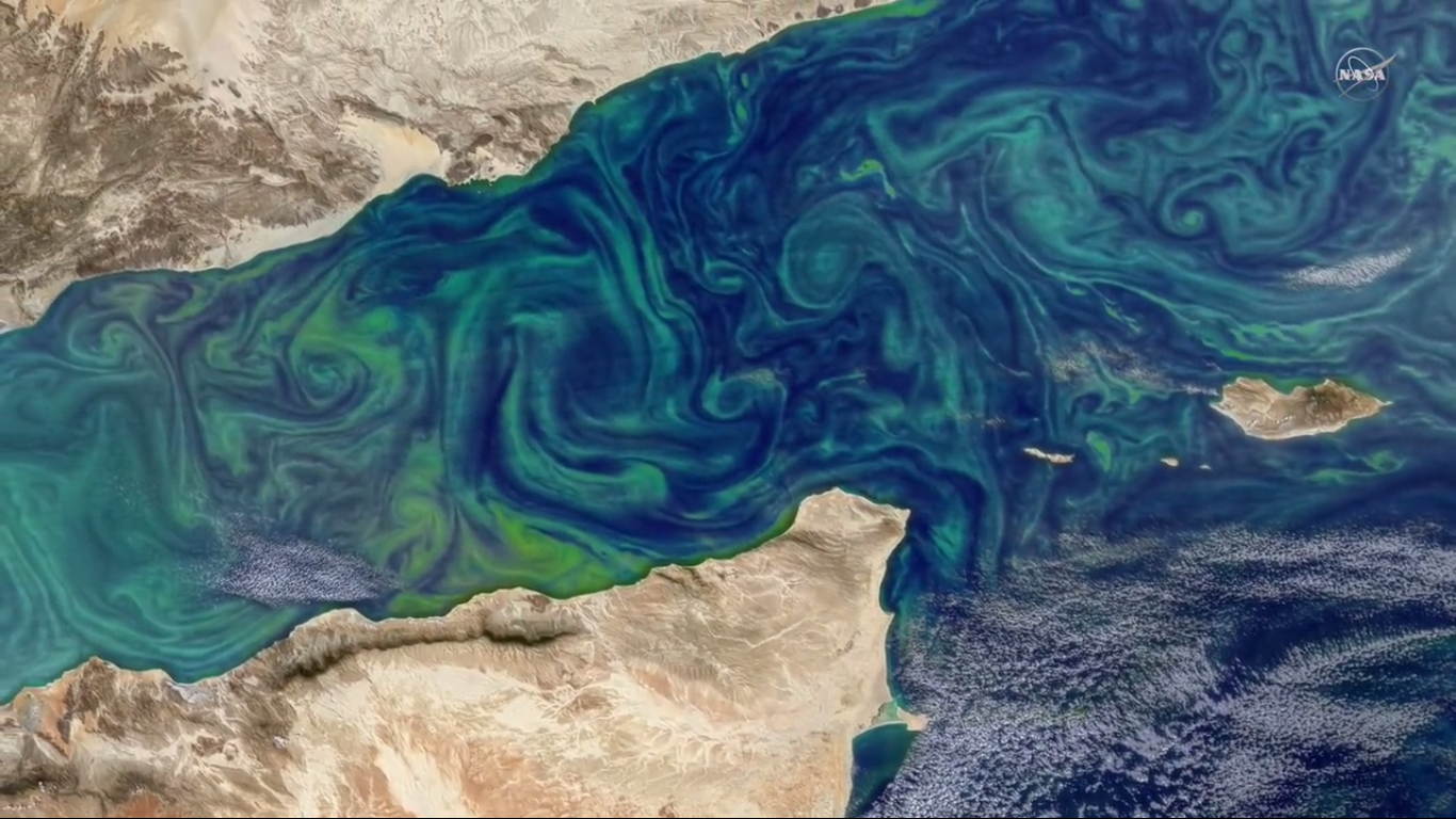 Studying organisms in the ocean's "twilight zone"