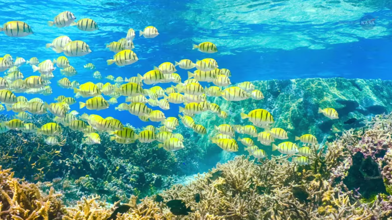 Fluid lensing may revolutionize marine research