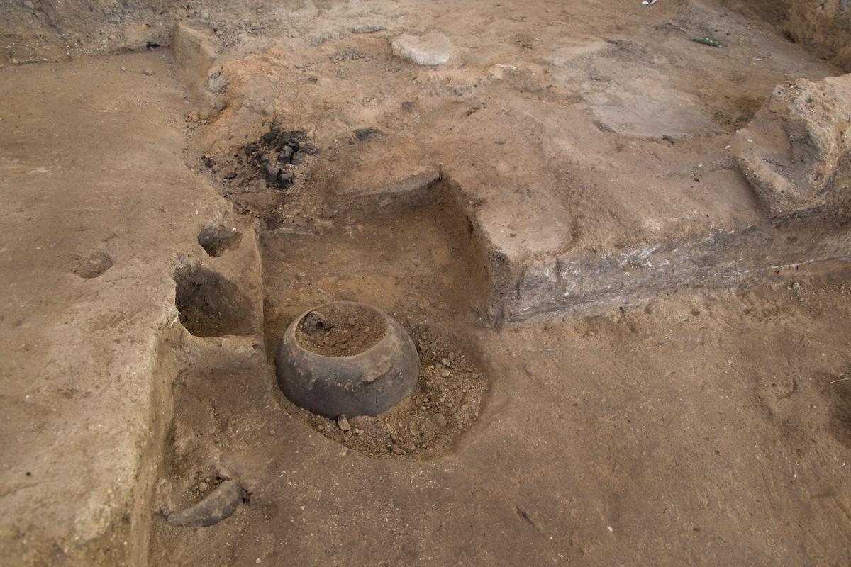 How did ancient humans cope with climate change?