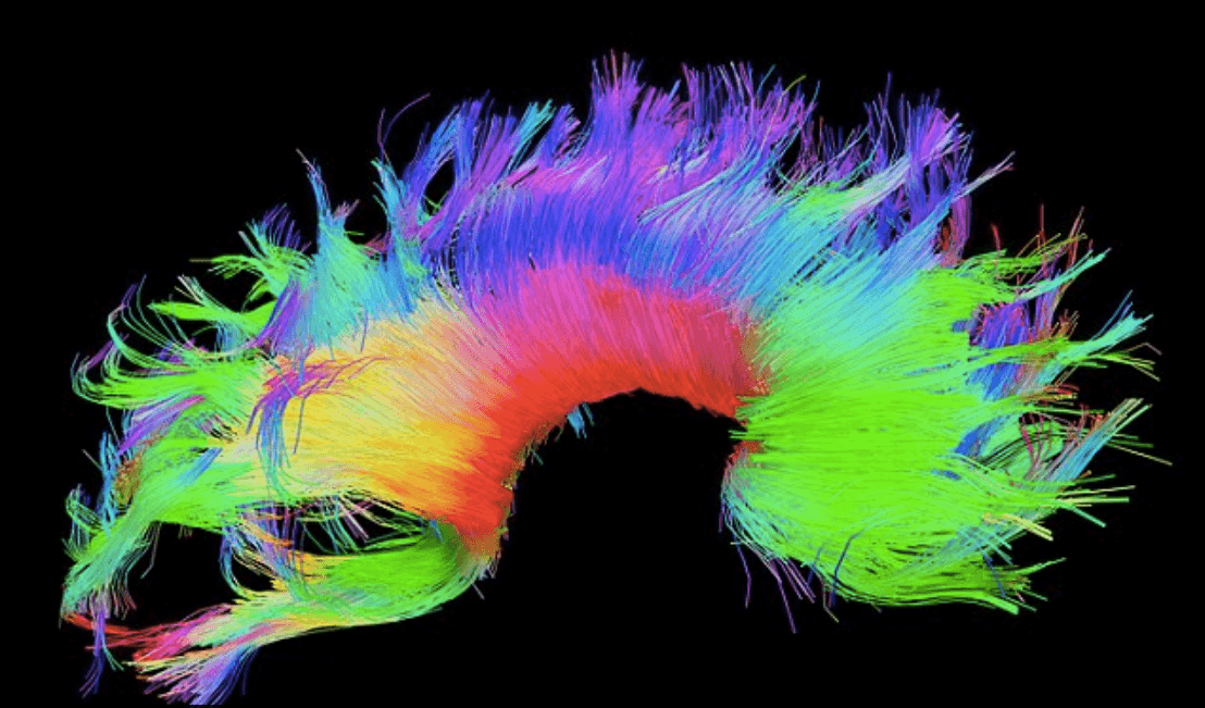 Could brainprints become the new fingerprints?