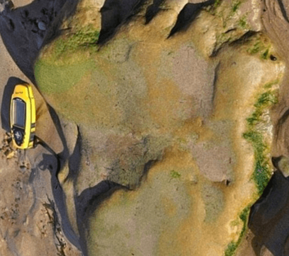Footprints reveal that dinosaurs roamed the Scottish mainland