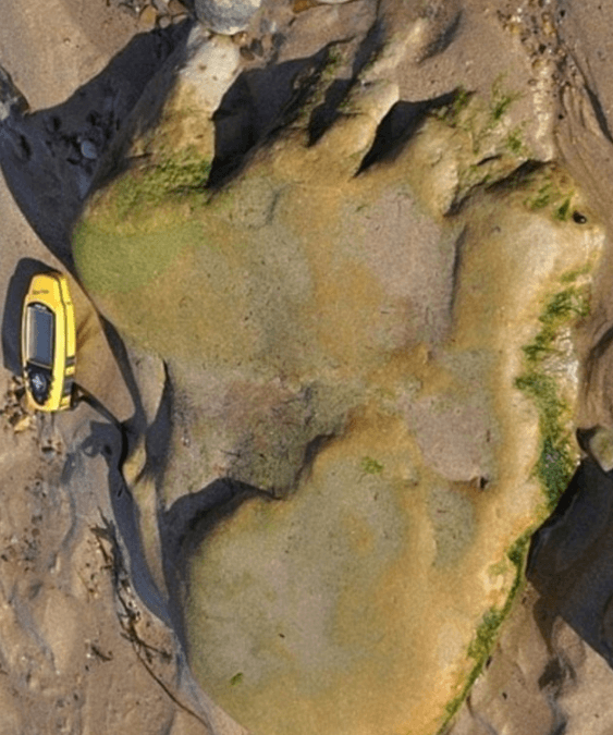 Footprints reveal that dinosaurs roamed the Scottish mainland