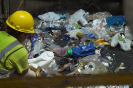 Most plastic bottles are recycled into clothes