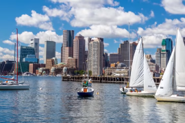 Was the Boston Harbor actually turned into tea?