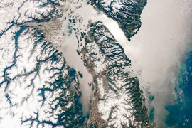 The world's biggest producers of hops