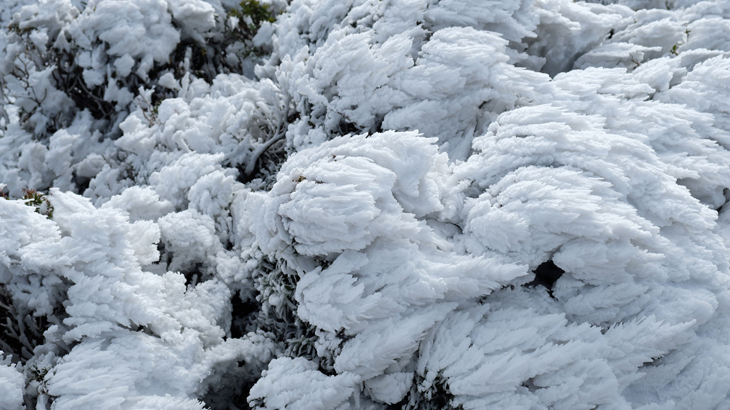 What is Hard Rime?