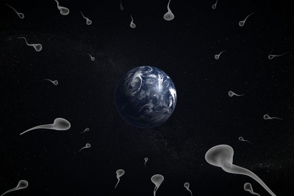 What is Panspermia?