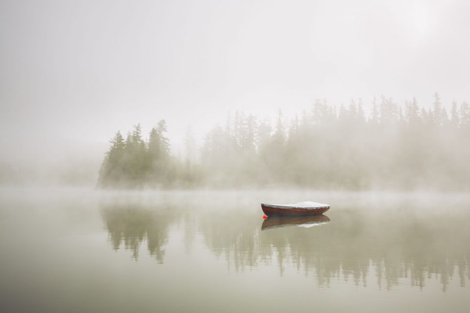 What is Mist?