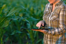2018/11/agronomy-for-sustainable-development.jpg