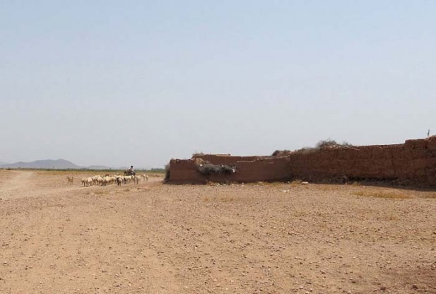 What is Desertification?