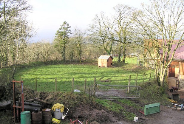 What is Ecoscaping?