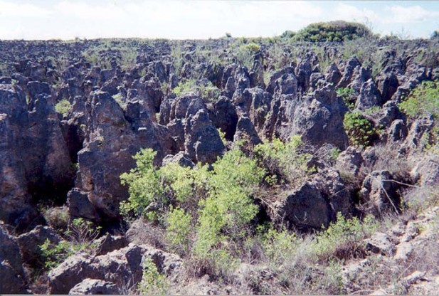 What is Land Degradation?