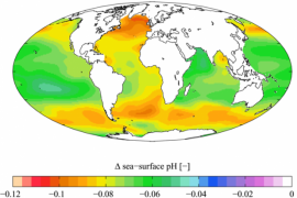 2018/11/Ocean+Acidification.jpg