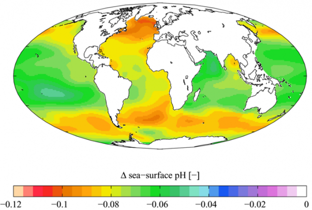 What is Ocean Acidification?