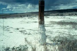 2018/11/Soil+Salinity.jpg