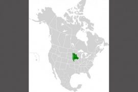 2018/11/Central+Tall+Grasslands.jpg