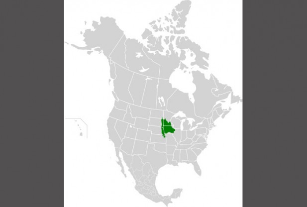 What is Central Tall Grasslands?