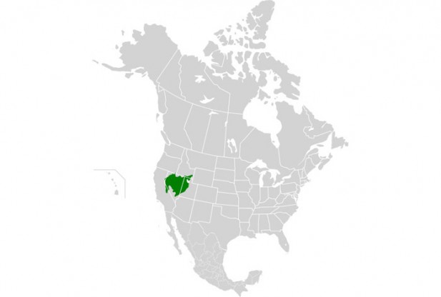 What is Great Basin Shrub Steppe?
