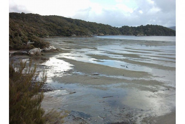 What is Mudflats?