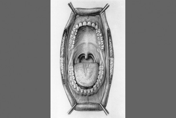 What is Mouth?