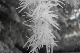 2018/11/Soft+Rime.jpg