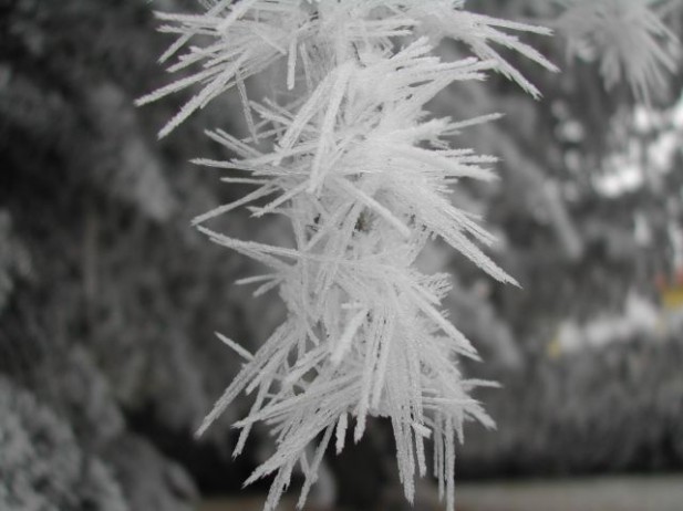 What is Soft Rime?