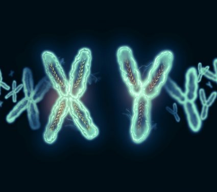 2018/12/xy-chromosome.jpg