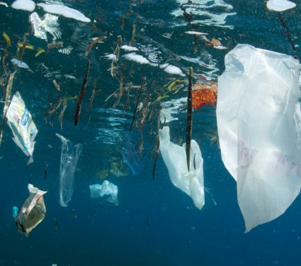 2018/12/Ocean-Trash.jpg