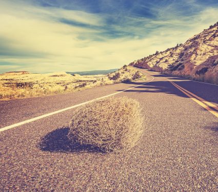 2019/01/The-tumbleweed-invasion.jpg
