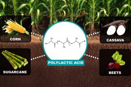 Green plastics are not always biodegradable