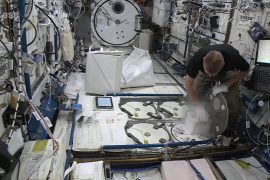 Astronauts are growing blood vessels in space