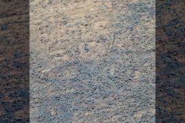 The discoveries of the Mars rover mission