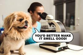 What makes some dog food irresistable?