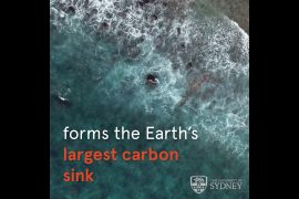 Marine snow has cooled the planet for millions of years