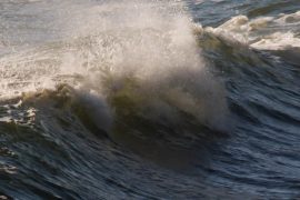 Tiny marine organisms may affect ocean mixing